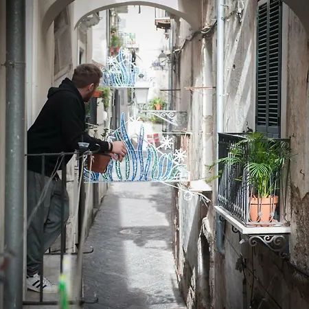 Monreal Frühstückspension